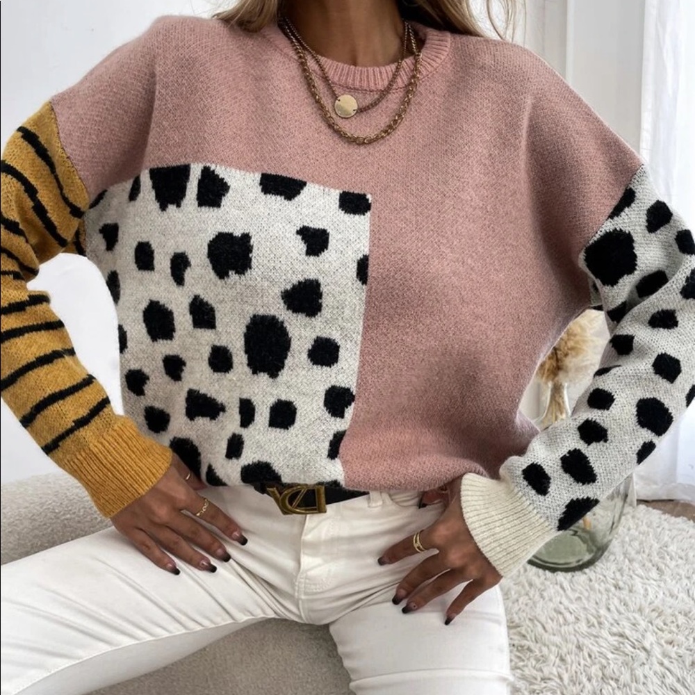 Leopard print stripes color block Sweater - Picture 2 of 6